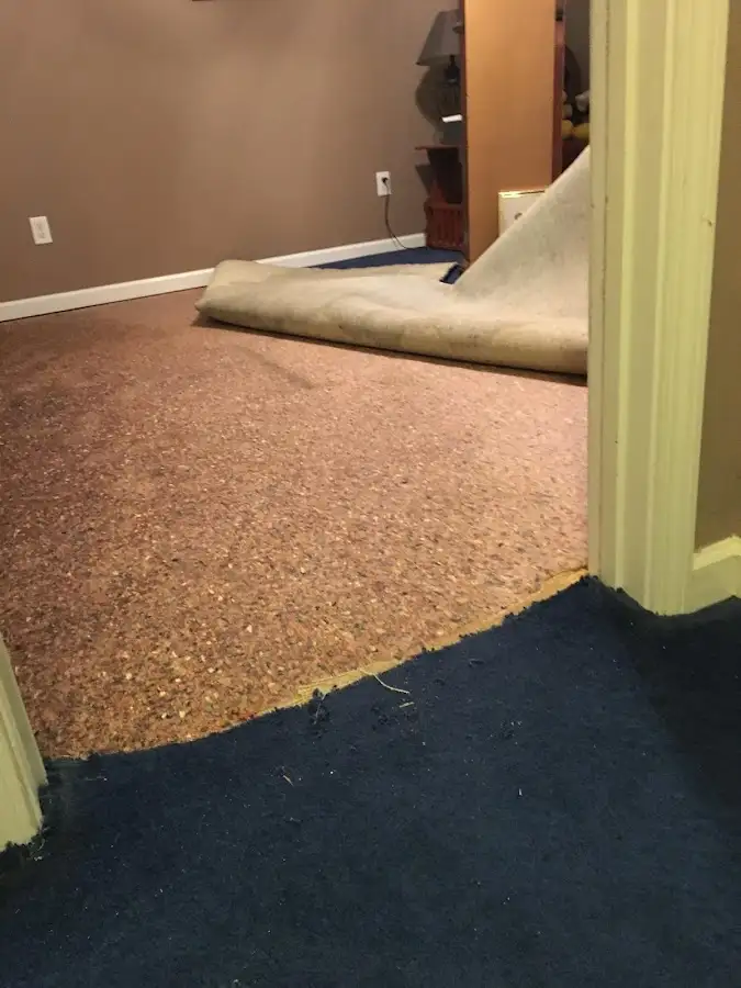 Carpet pad removal revealing water damage during Water Mitigation Services in Frenchtown
