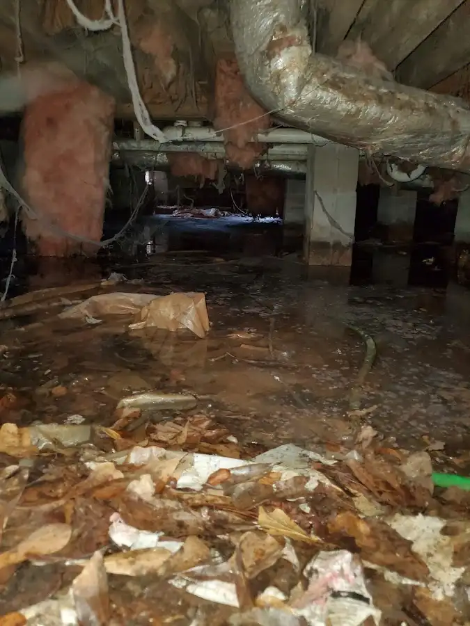 Crawl space flood assessment for Leak Detection & Repair in Frenchtown