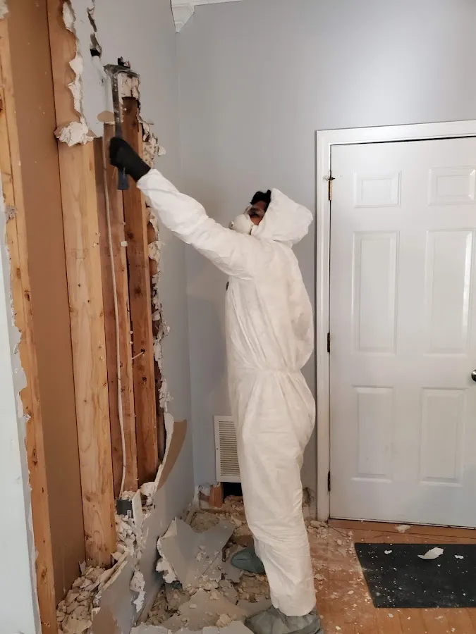 Mold Inspection & Testing in Frenchtown, MI